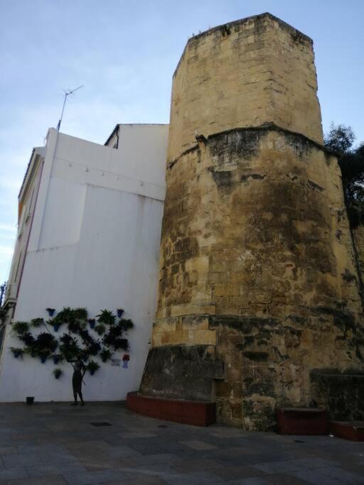 Trotamundos, Apartamento Nuevo En El Centro Cordoba Exterior photo